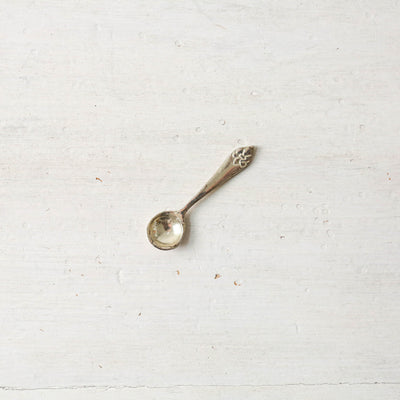 Decorative Metal Salt Spoon