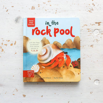 Three Step Stories: In the Rock Pool