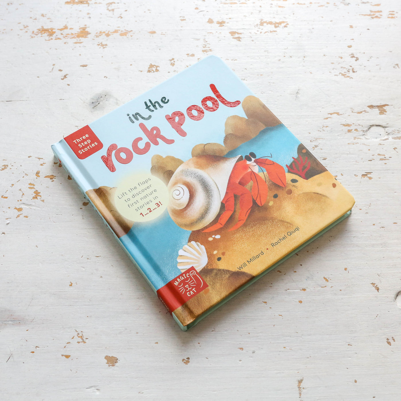 Three Step Stories: In the Rock Pool