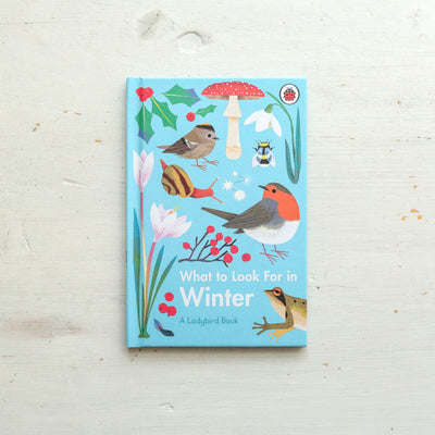 What to Look For in Winter - A Ladybird Book