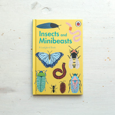 Insects and Minibeasts - A Ladybird Book