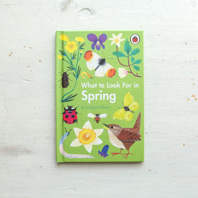 What to Look For in Spring - A Ladybird Book