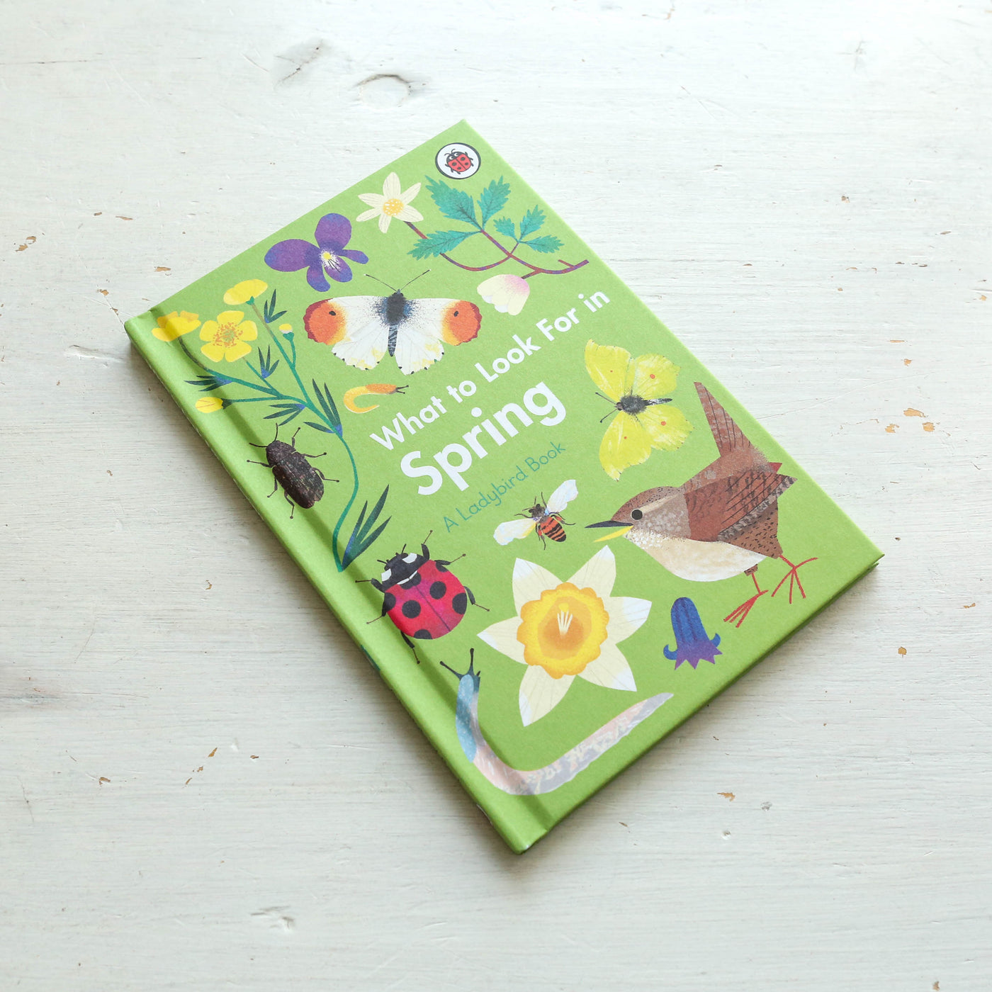 What to Look For in Spring - A Ladybird Book