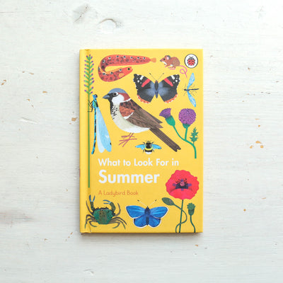 What to Look For in Summer - A Ladybird Book