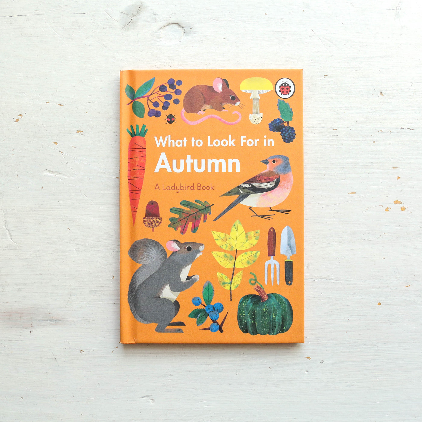 What to Look For in Autumn - A Ladybird Book