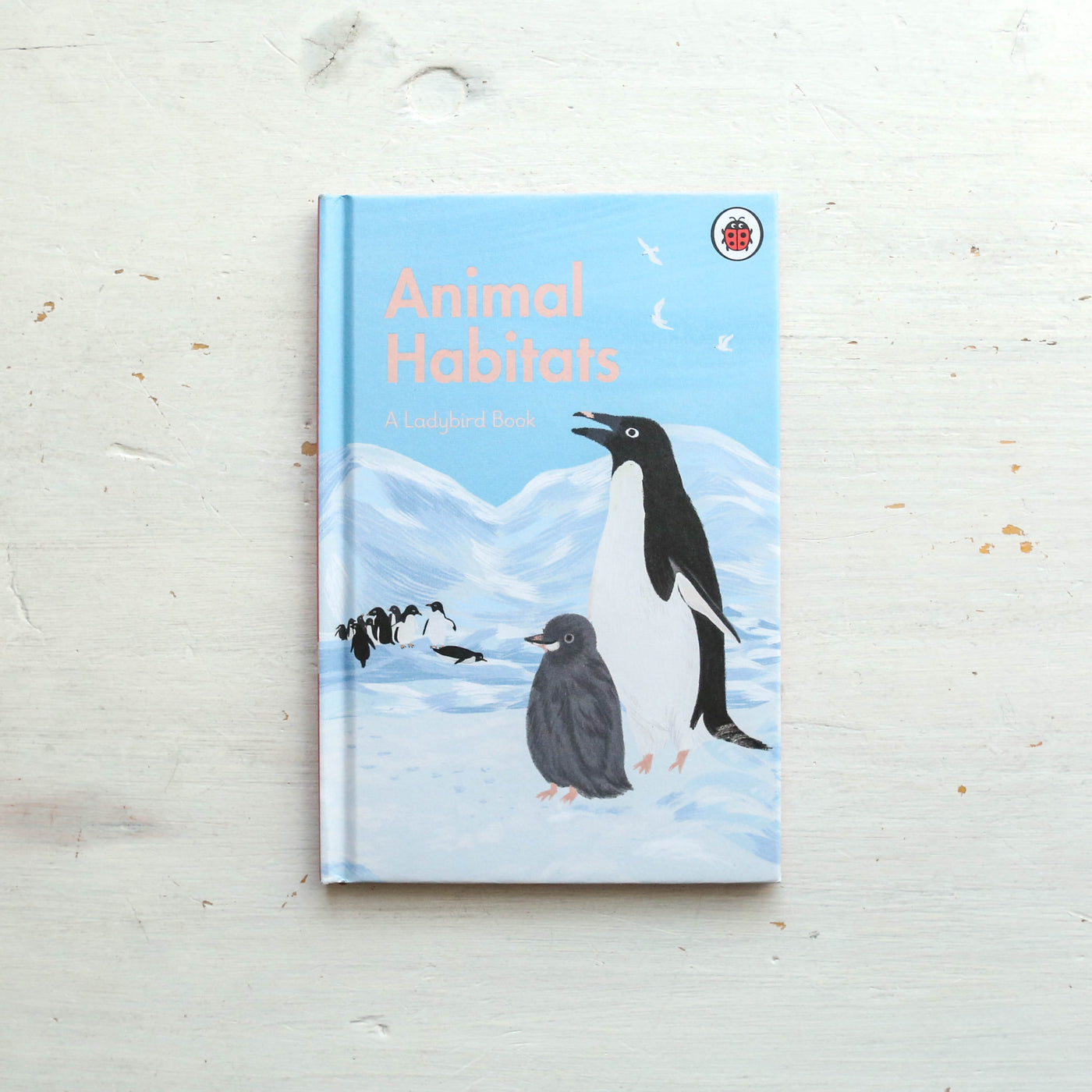 Animal Habitats - A Ladybird Book