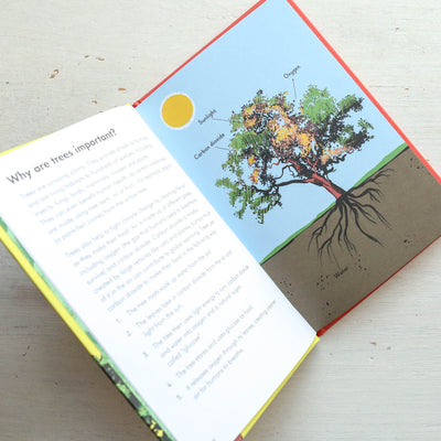 Trees - A Ladybird Book