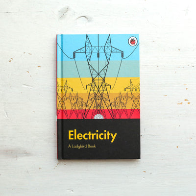 Electricity - A Ladybird Book
