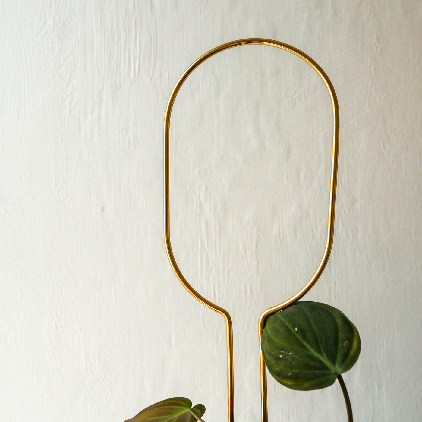 Mini Golden Plant Stake - Hoop
