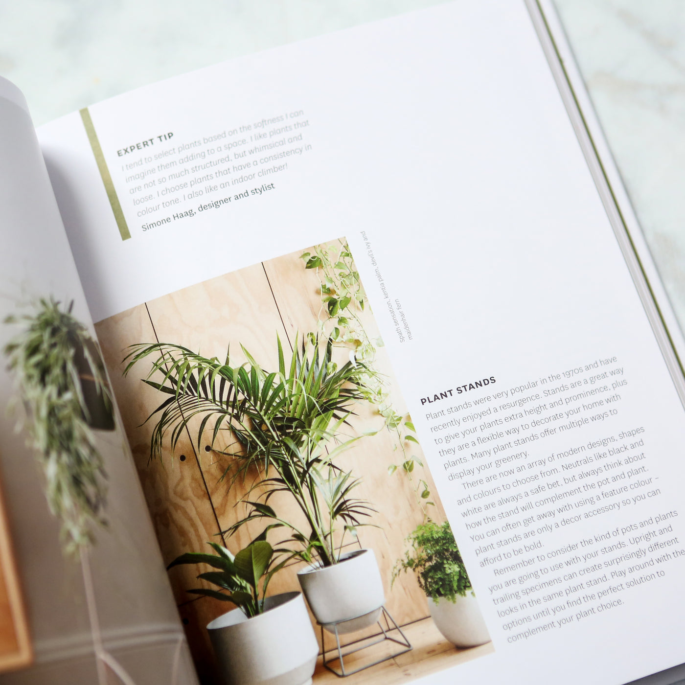 Plant Style