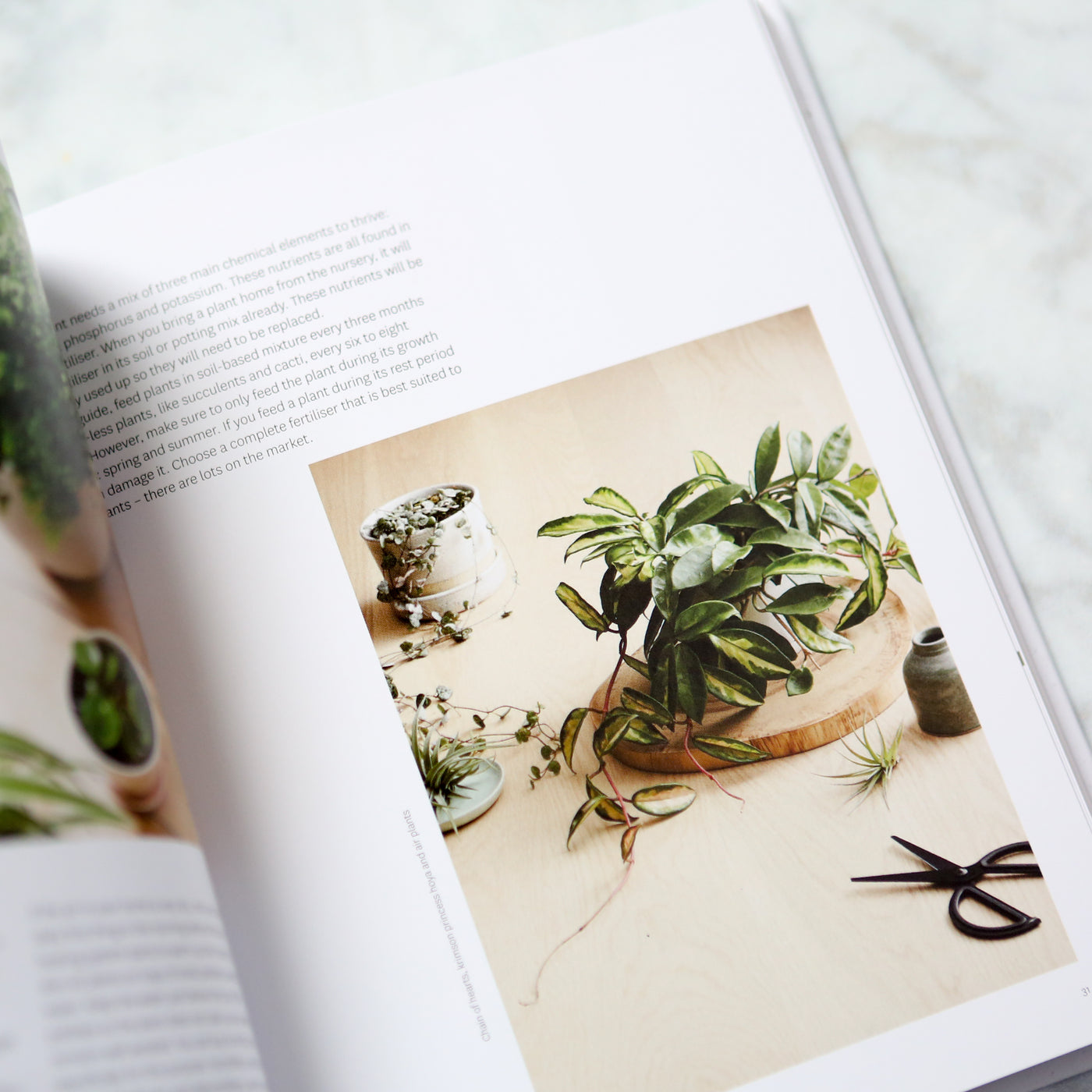Plant Style
