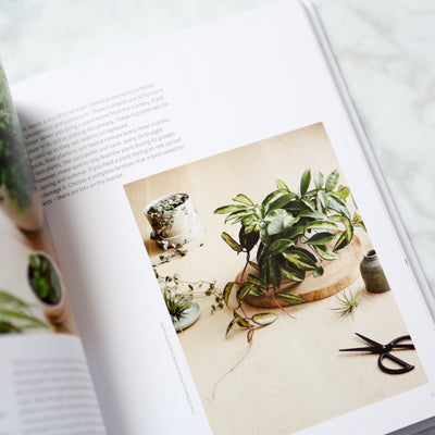Plant Style