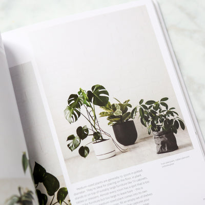 Plant Style