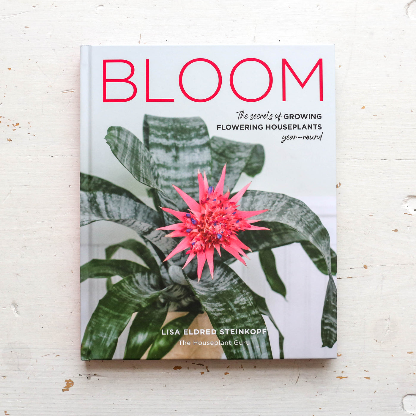 Bloom : The secrets of growing flowering houseplants year-round
