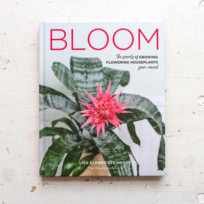 Bloom : The secrets of growing flowering houseplants year-round