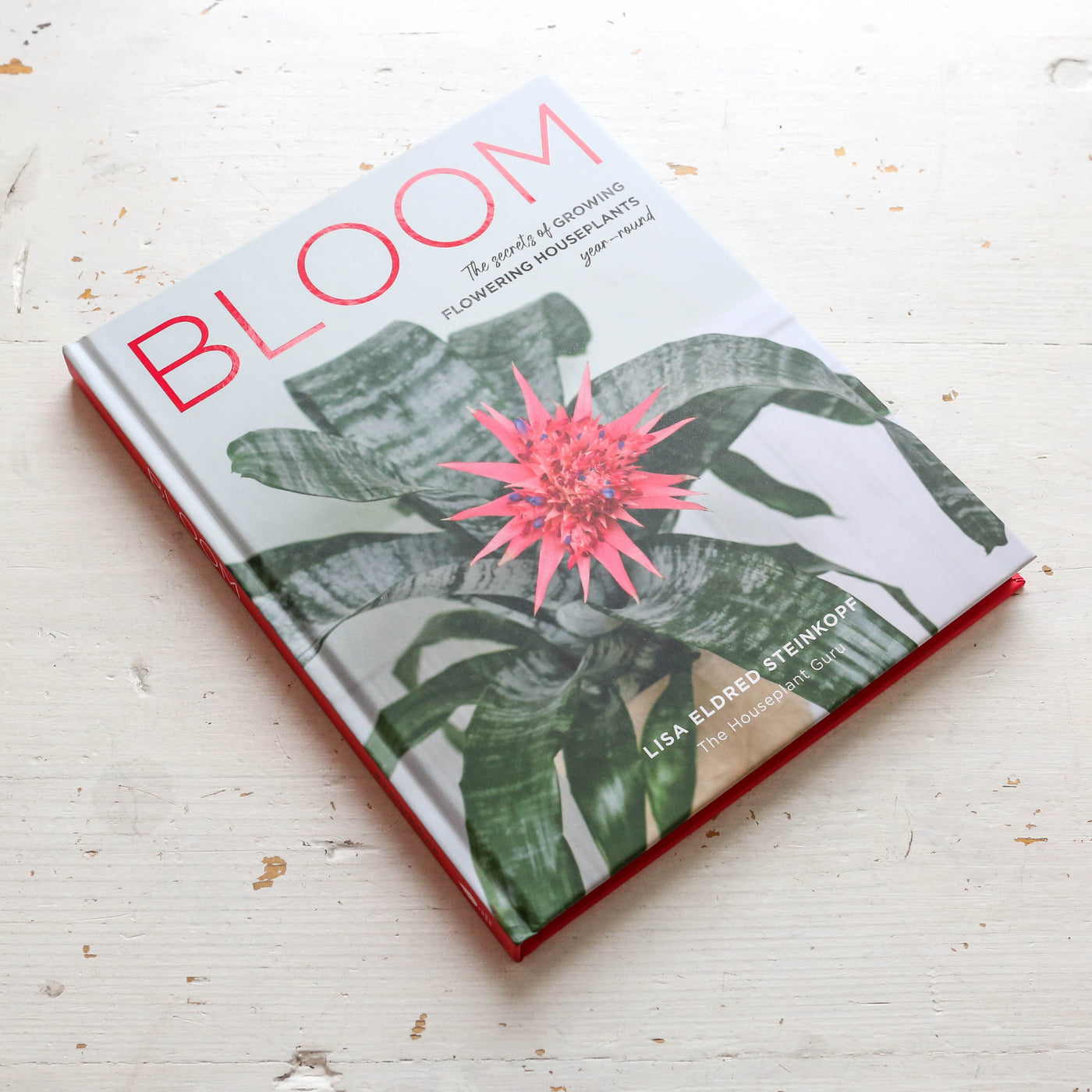 Bloom : The secrets of growing flowering houseplants year-round