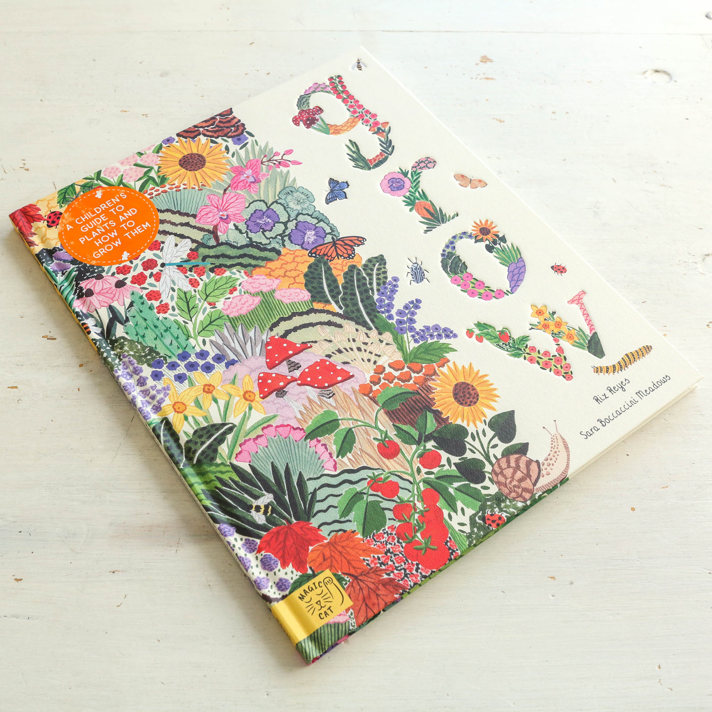 Grow : A first guide to plants and how to grow them