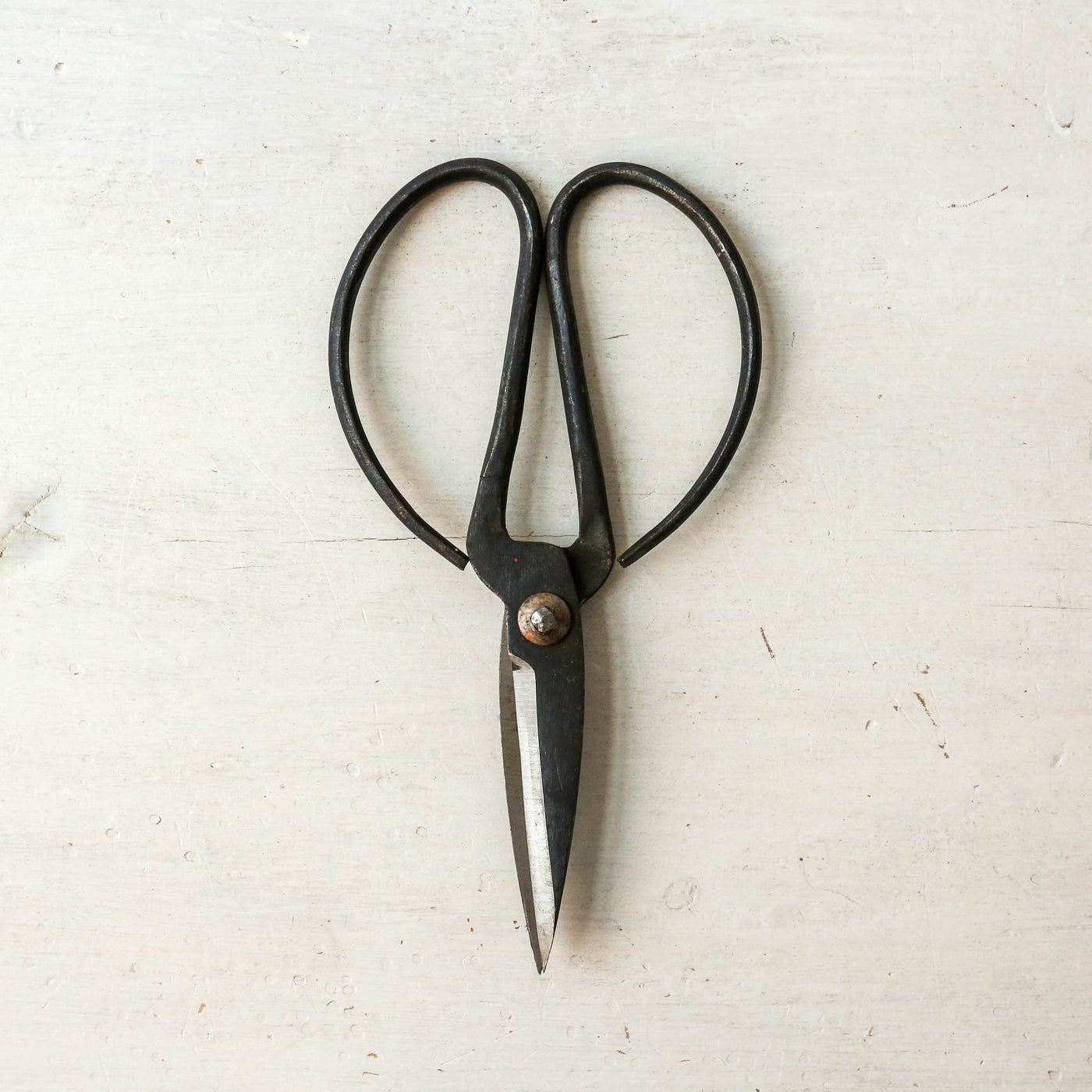 Traditional Black Iron Scissors
