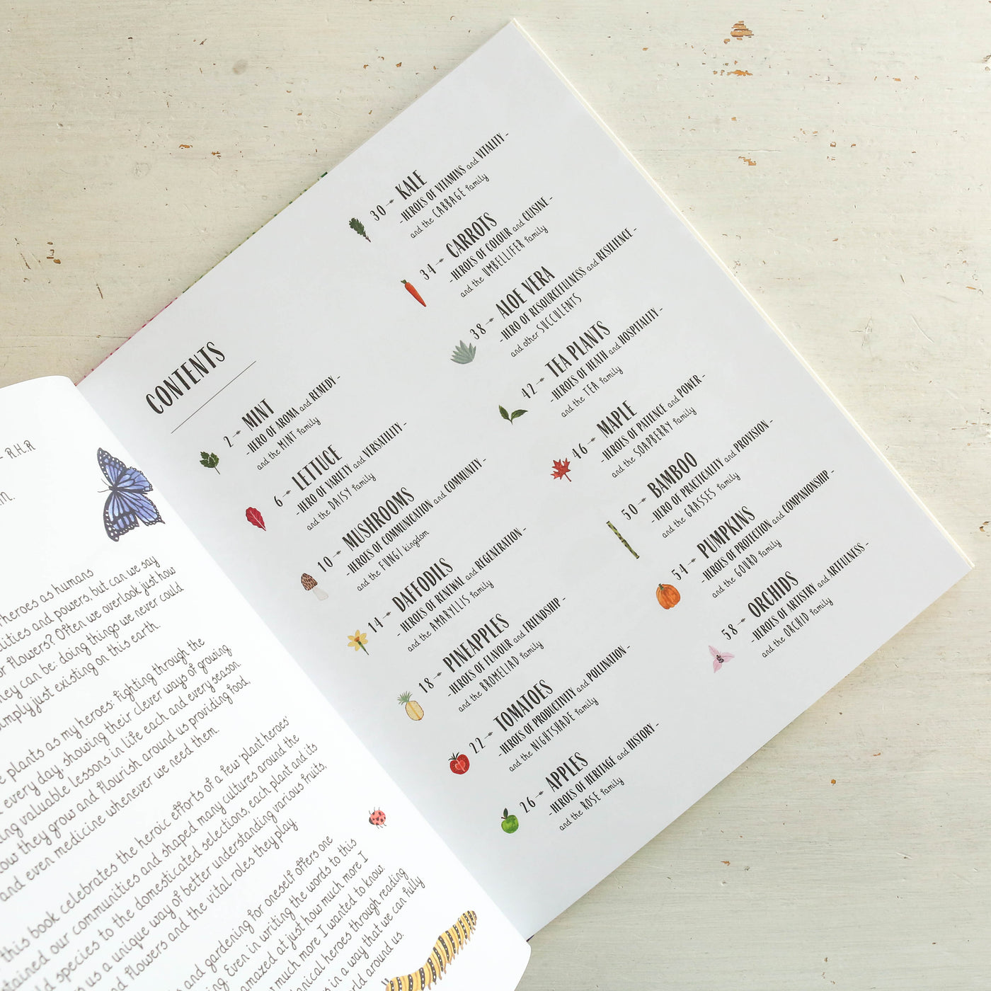 Grow : A first guide to plants and how to grow them
