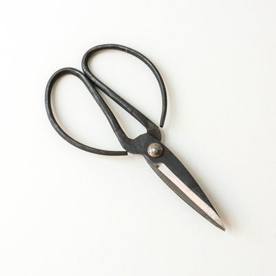 Traditional Black Iron Scissors