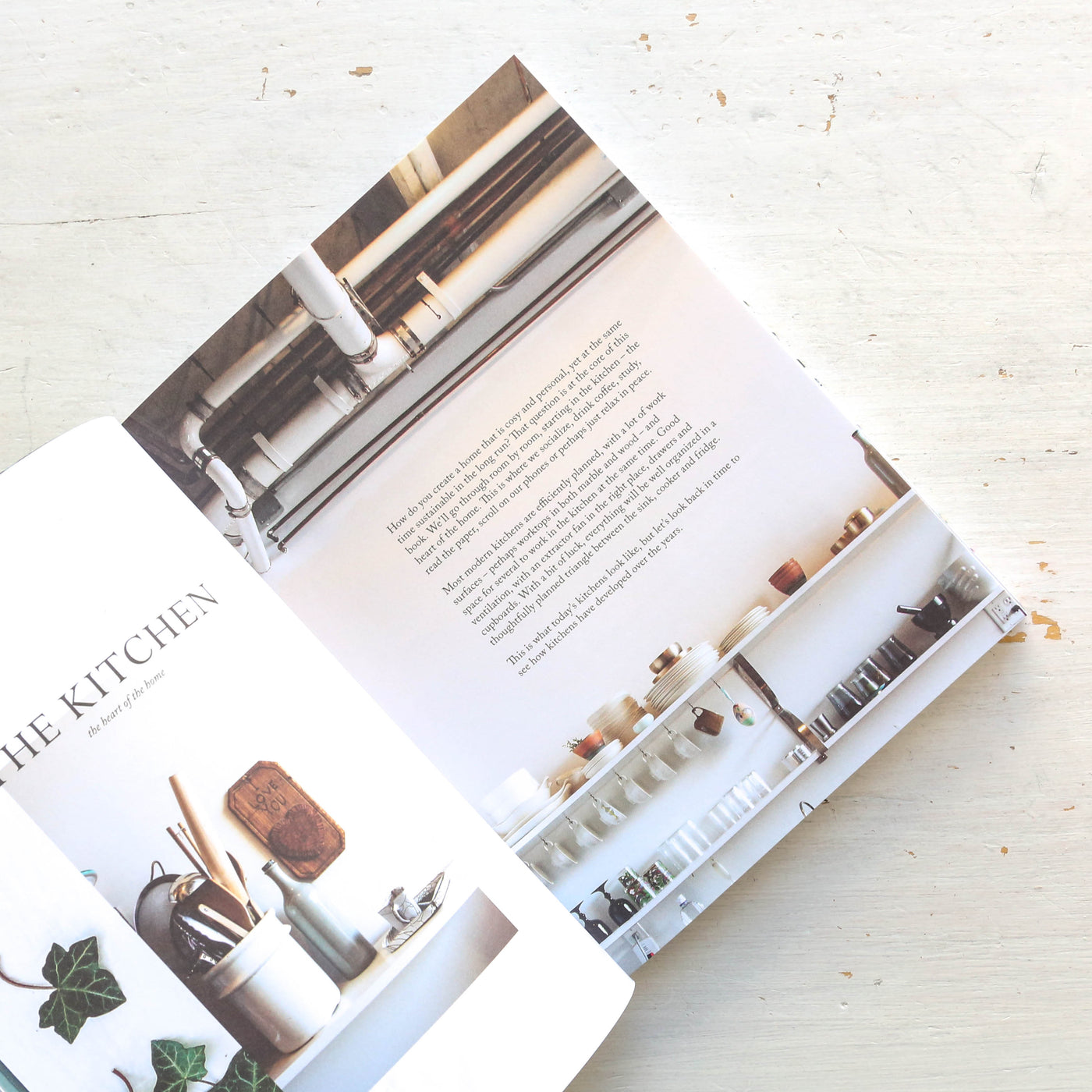 The Sustainable Home