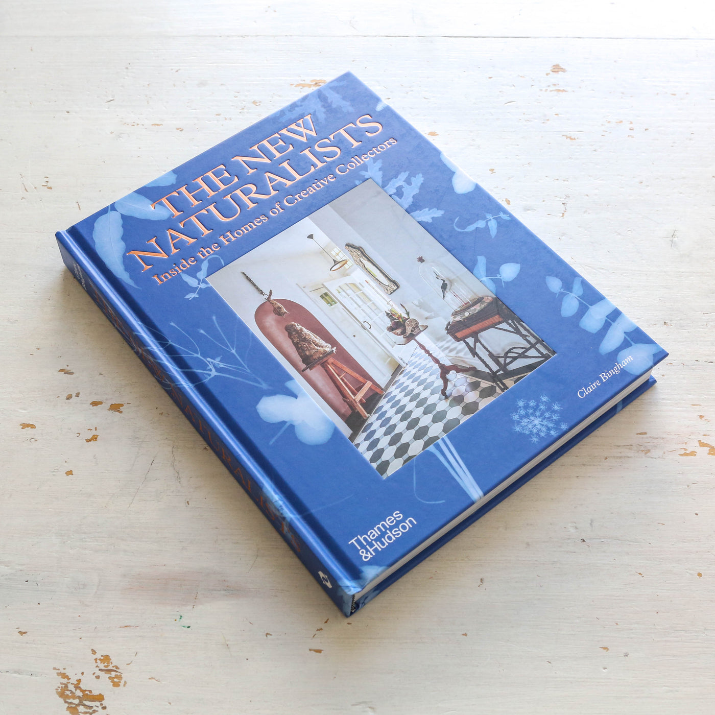 SALE The New Naturalists : Inside the Homes of Creative Collectors