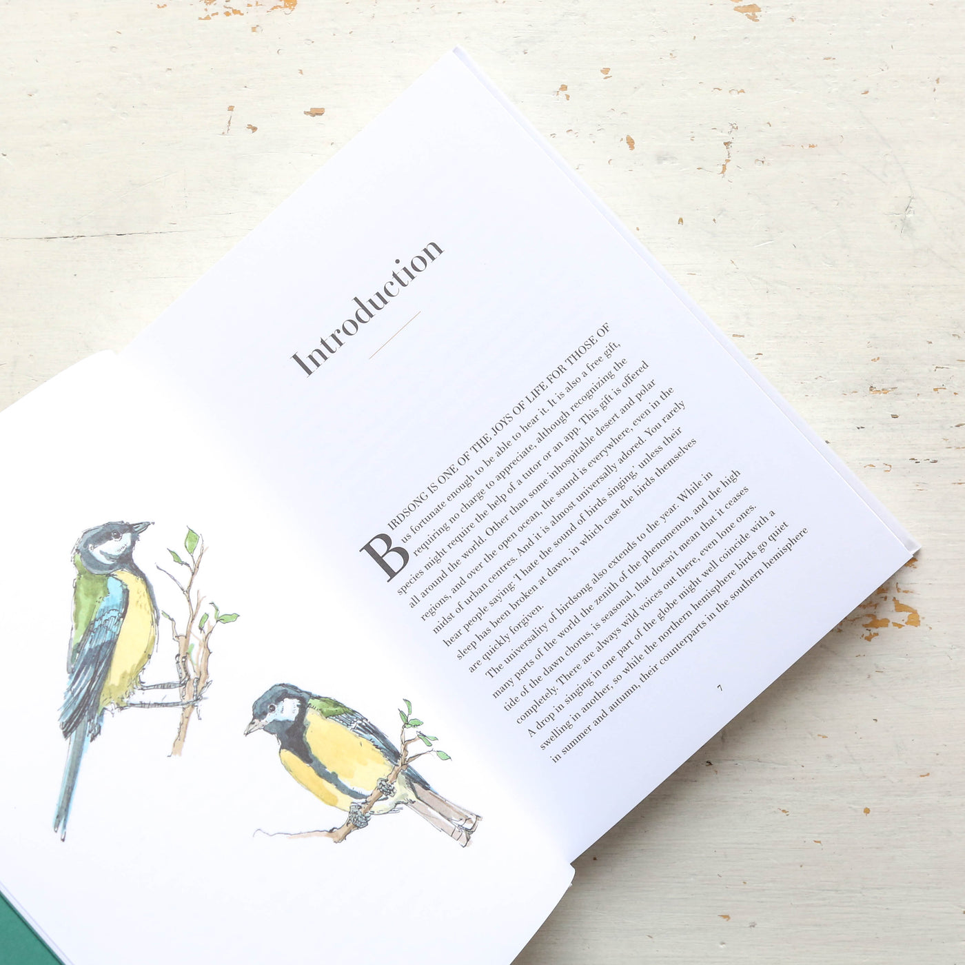 A Year of Bird Song: 52 Stories of Songbirds