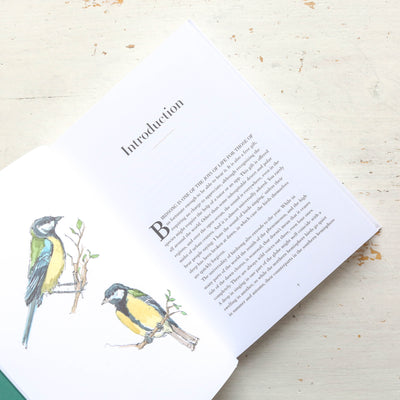 A Year of Bird Song: 52 Stories of Songbirds
