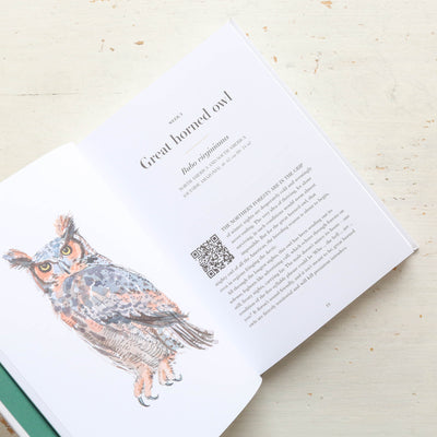 A Year of Bird Song: 52 Stories of Songbirds