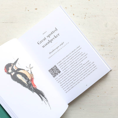 A Year of Bird Song: 52 Stories of Songbirds