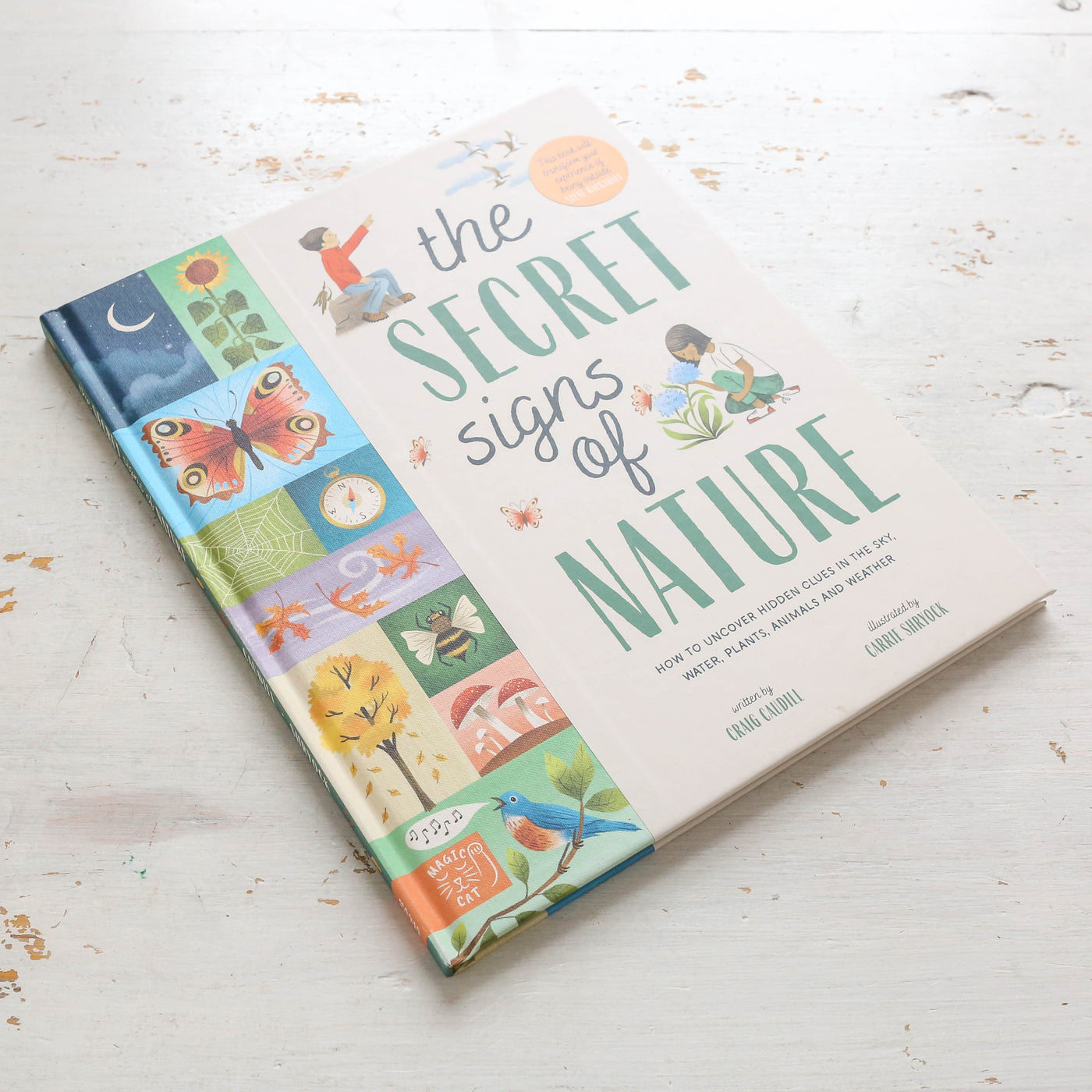 The Secret Signs of Nature Children's Book
