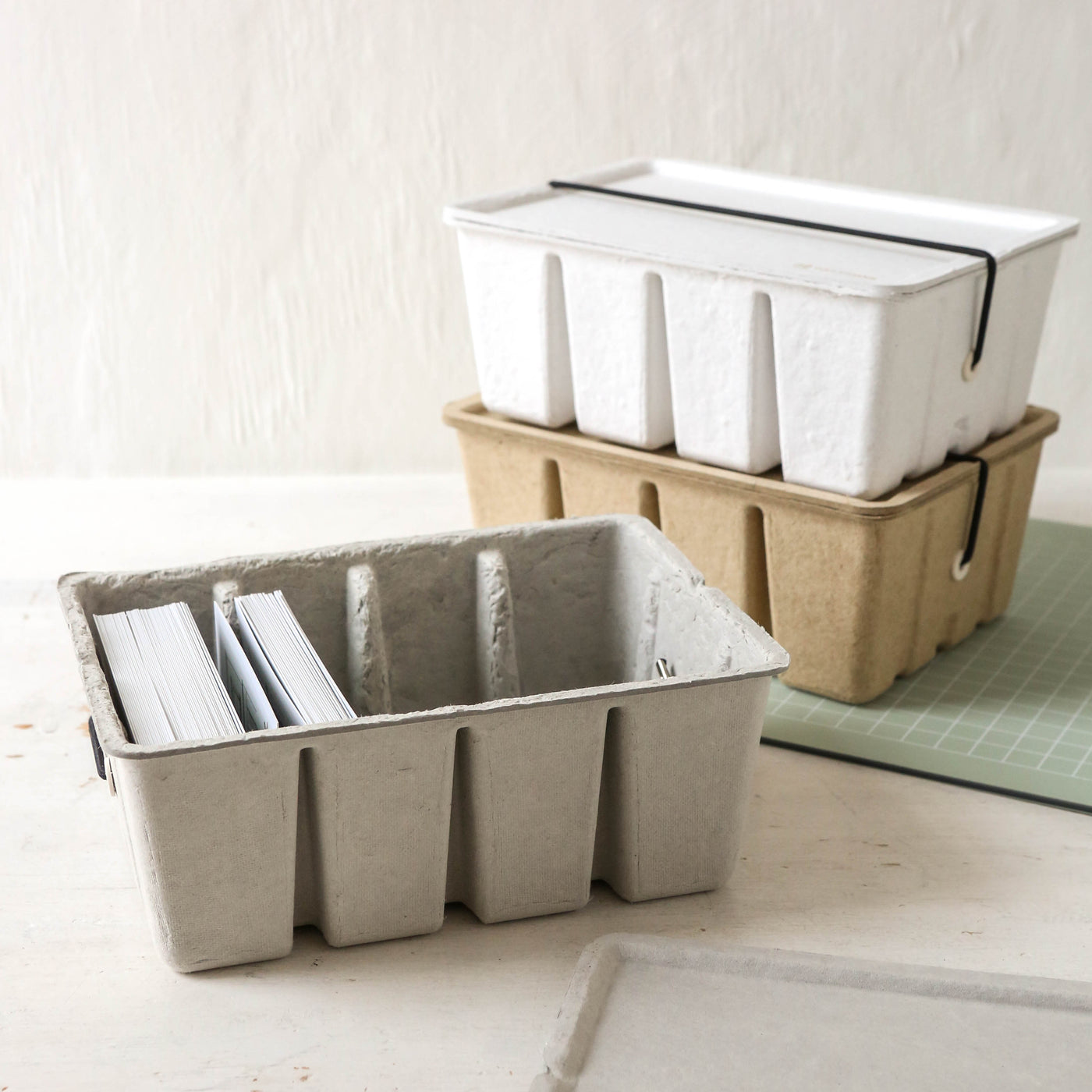 Midori Pulp Storage Card Box