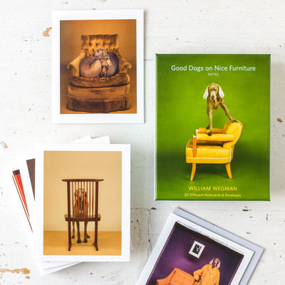 Good Dogs on Nice Furniture Boxed Notecard Set