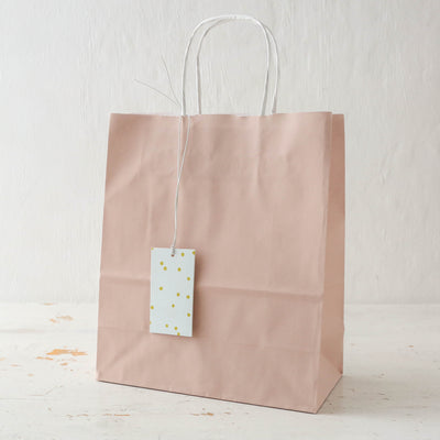 Pack of Five Paper Gift Bags with Tags - Blush