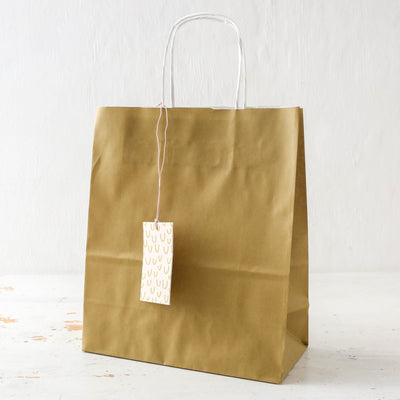 Pack of Five Paper Gift Bags with Tags - Olive