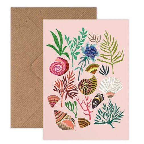 Shells & Seaweed Greetings Card by Brie Harrison