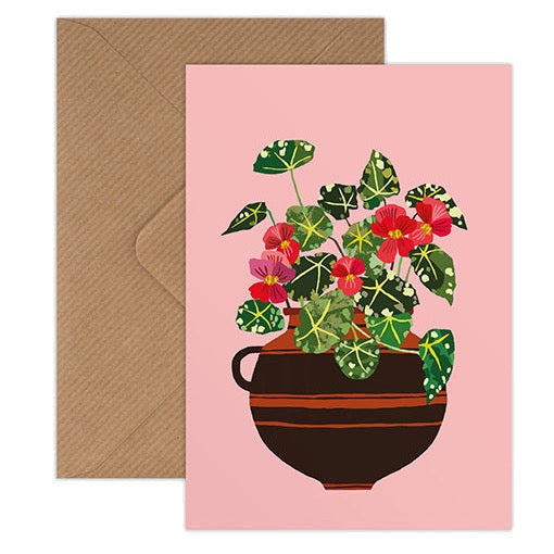 Begonia Greetings Card by Brie Harrison