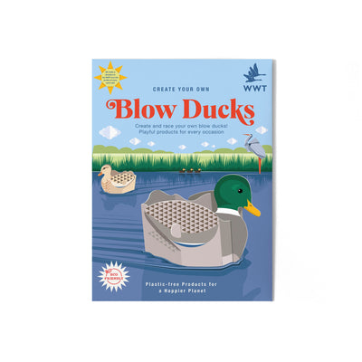 Create Your Own Blow Ducks Kit