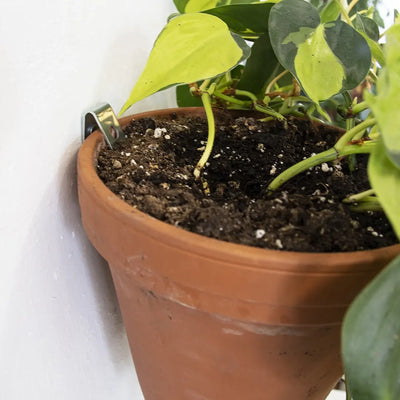 Clippy – Wall mounting kit for 5 plant pots