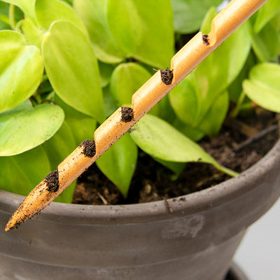 Wooden Soil Checker