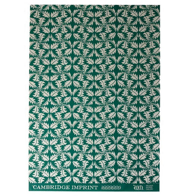 Bottle Green 'Dandelion' Wrapping Paper