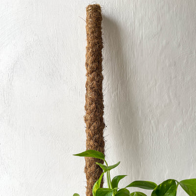 Moss Pole LOCAL PICK UP ONLY