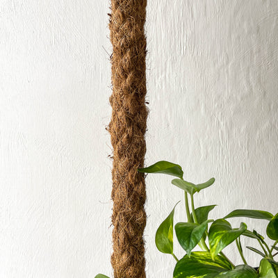 Moss Pole