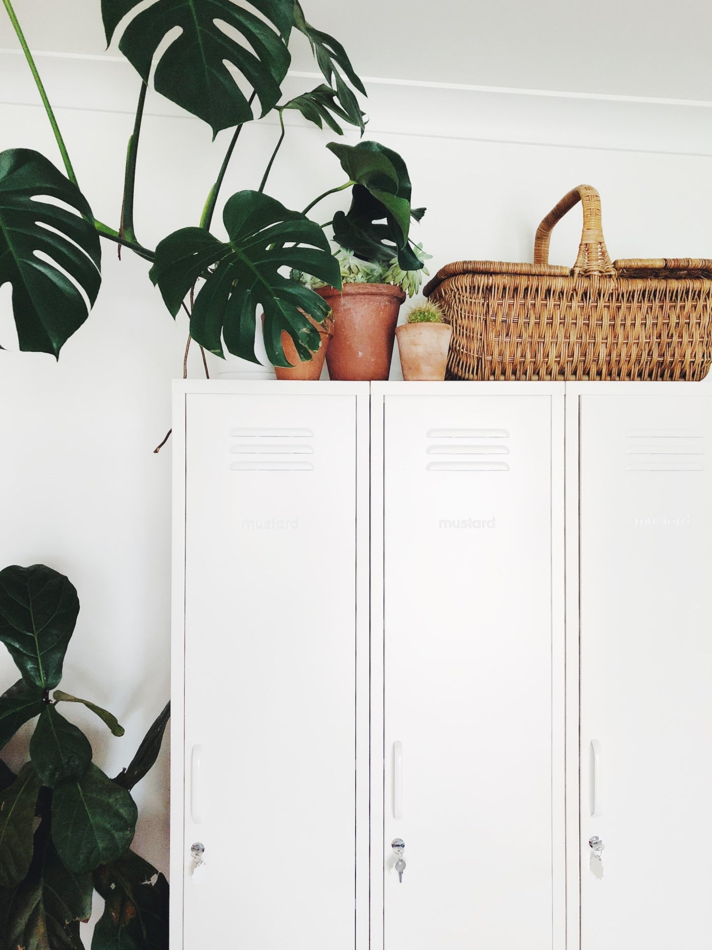 The Skinny Locker