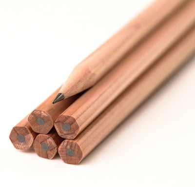 Box of 12 Palomino Blackwing Natural Pencils