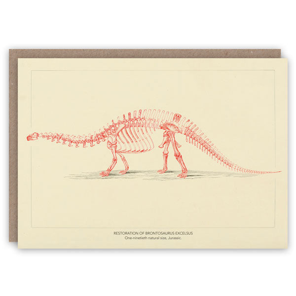 Brontosaurus Greetings Card