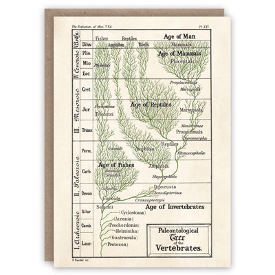 Vintage Science Card - Timeline of Evolution