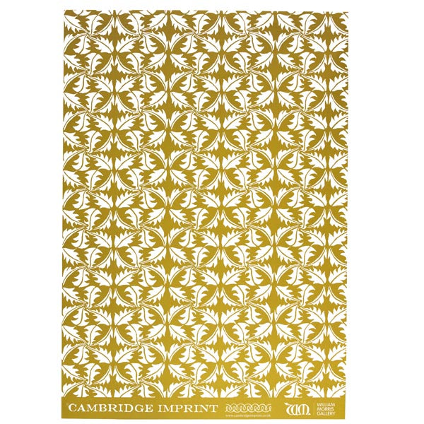 Turmeric 'Dandelion Wrapping Paper