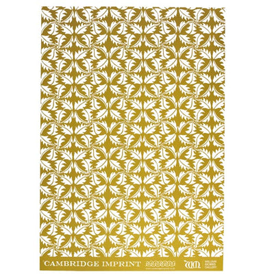 Turmeric 'Dandelion Wrapping Paper