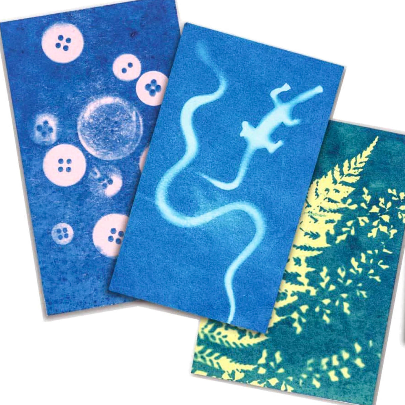 Sunography Solar Powered Photography - Pack of Cards